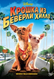 Постер Beverly Hills Chihuahua